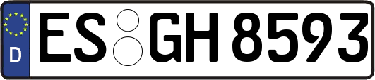 ES-GH8593