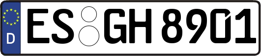 ES-GH8901