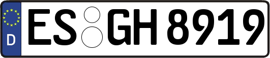 ES-GH8919