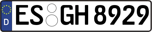 ES-GH8929