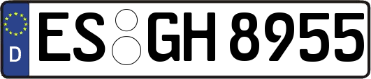 ES-GH8955