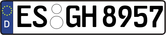 ES-GH8957