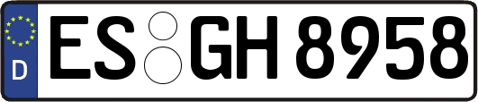 ES-GH8958