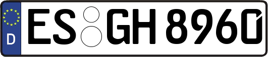 ES-GH8960