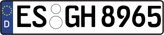 ES-GH8965