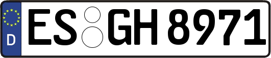 ES-GH8971