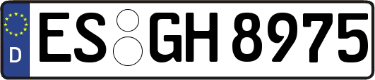 ES-GH8975