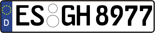 ES-GH8977