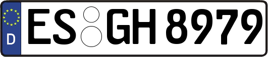 ES-GH8979