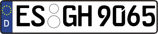 ES-GH9065