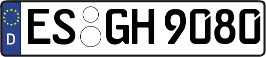 ES-GH9080