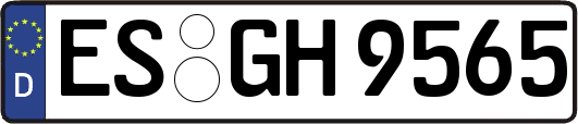 ES-GH9565