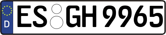 ES-GH9965