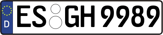 ES-GH9989