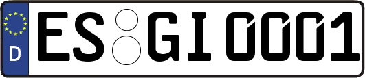 ES-GI0001