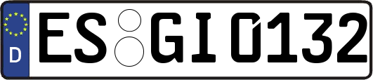 ES-GI0132