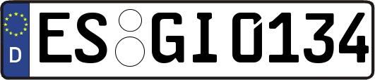 ES-GI0134