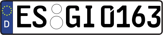 ES-GI0163
