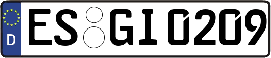 ES-GI0209