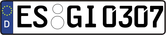 ES-GI0307