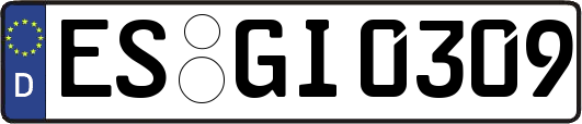 ES-GI0309