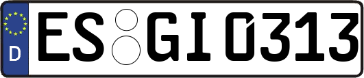 ES-GI0313