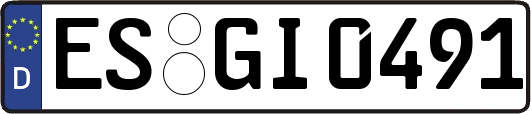 ES-GI0491