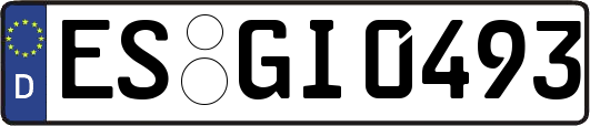 ES-GI0493