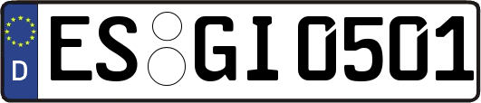 ES-GI0501