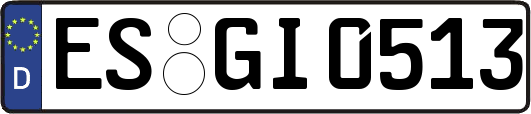ES-GI0513