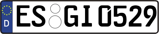 ES-GI0529