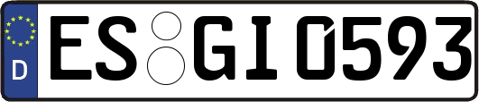 ES-GI0593