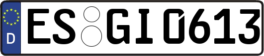 ES-GI0613