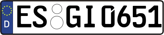 ES-GI0651