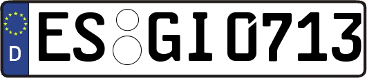 ES-GI0713