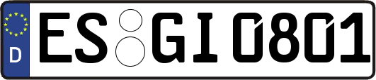 ES-GI0801
