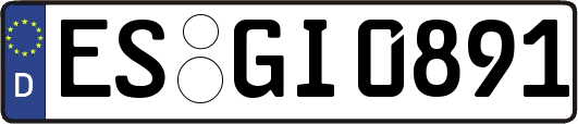 ES-GI0891