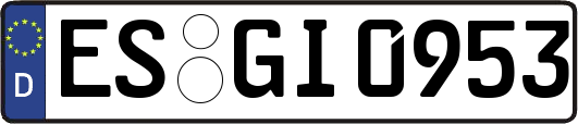 ES-GI0953