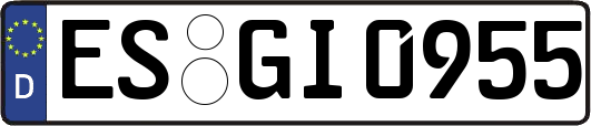 ES-GI0955