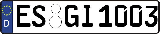 ES-GI1003