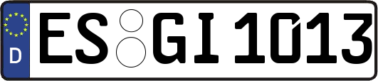 ES-GI1013