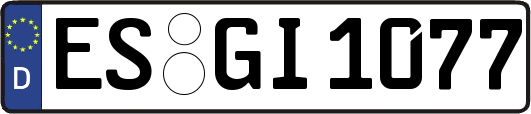 ES-GI1077