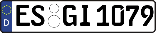 ES-GI1079
