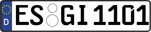 ES-GI1101