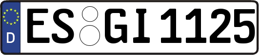 ES-GI1125
