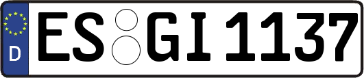 ES-GI1137
