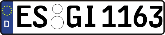 ES-GI1163