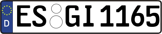 ES-GI1165