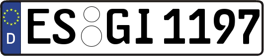 ES-GI1197