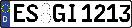 ES-GI1213